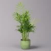 Bergpalme Mit Keramiktopf Bergamo Grün, Topf-Ø 12 Cm, Höhe Ca. 40 Cm -Fashion Garden Store 0222100038 Chamaedorea eleg in Uebertopf Bergamo gruen 1
