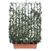 Hecke Am Laufenden Meter® Efeu, 130x100 Cm -Fashion Garden Store 0440101033 Koelles Gruene Hecke 130cm hoch 100cm breit 1 81762