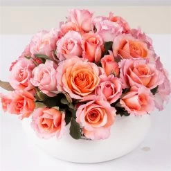 Stammrose 'Käthchen Von Heilbronn'®, Edelrose, Stammhöhe 60cm Im 7,5 Liter Topf -Fashion Garden Store 0460100700 KB Kaethchen von Heilbronn Edelrose Co 6lt1 65417