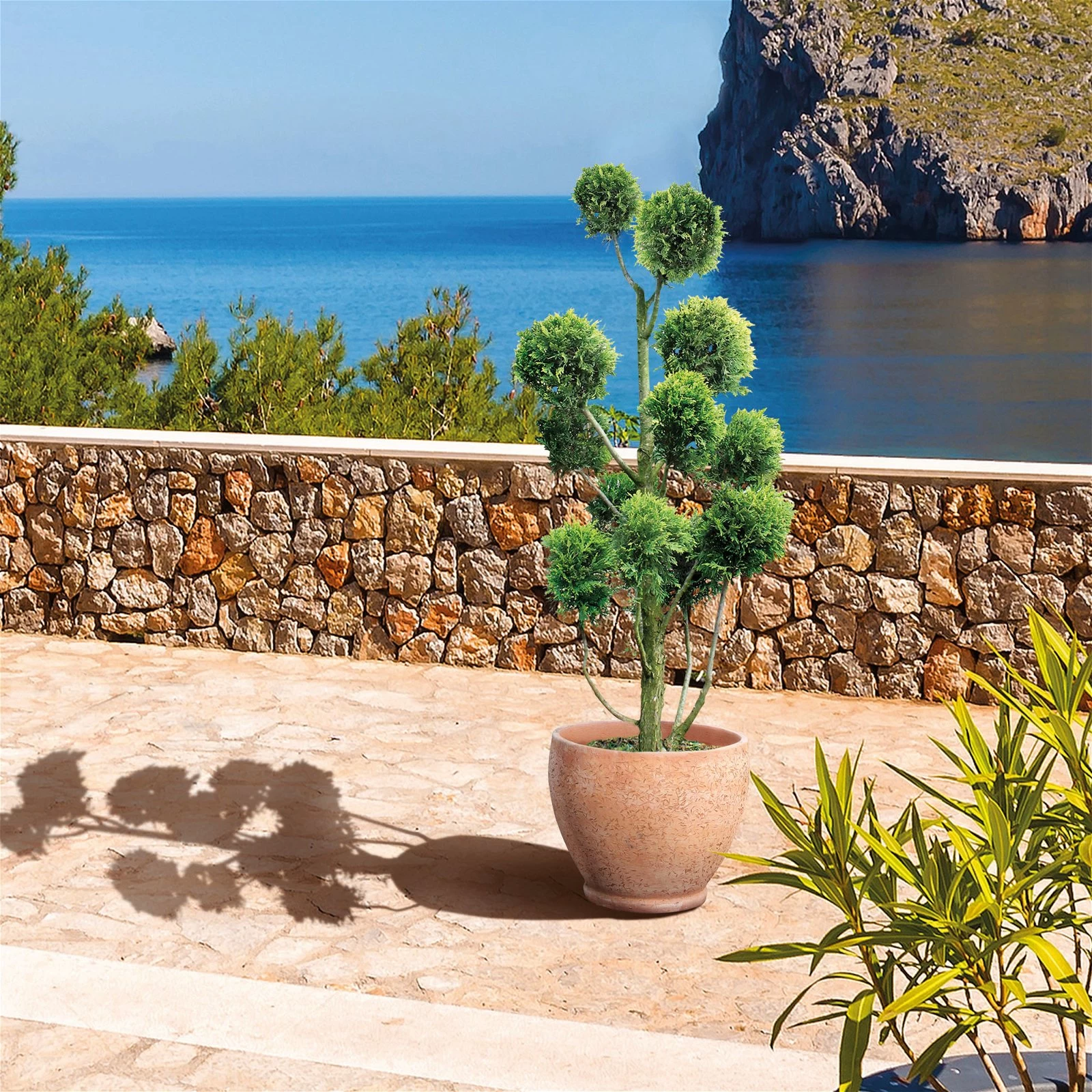 Gelbe Baumzypresse, Pompon, Höhe 80-100 Cm, Topf 12 Liter 3 Gelbe Baumzypresse, Pompon, Höhe 80-100 Cm, Topf 12 Liter