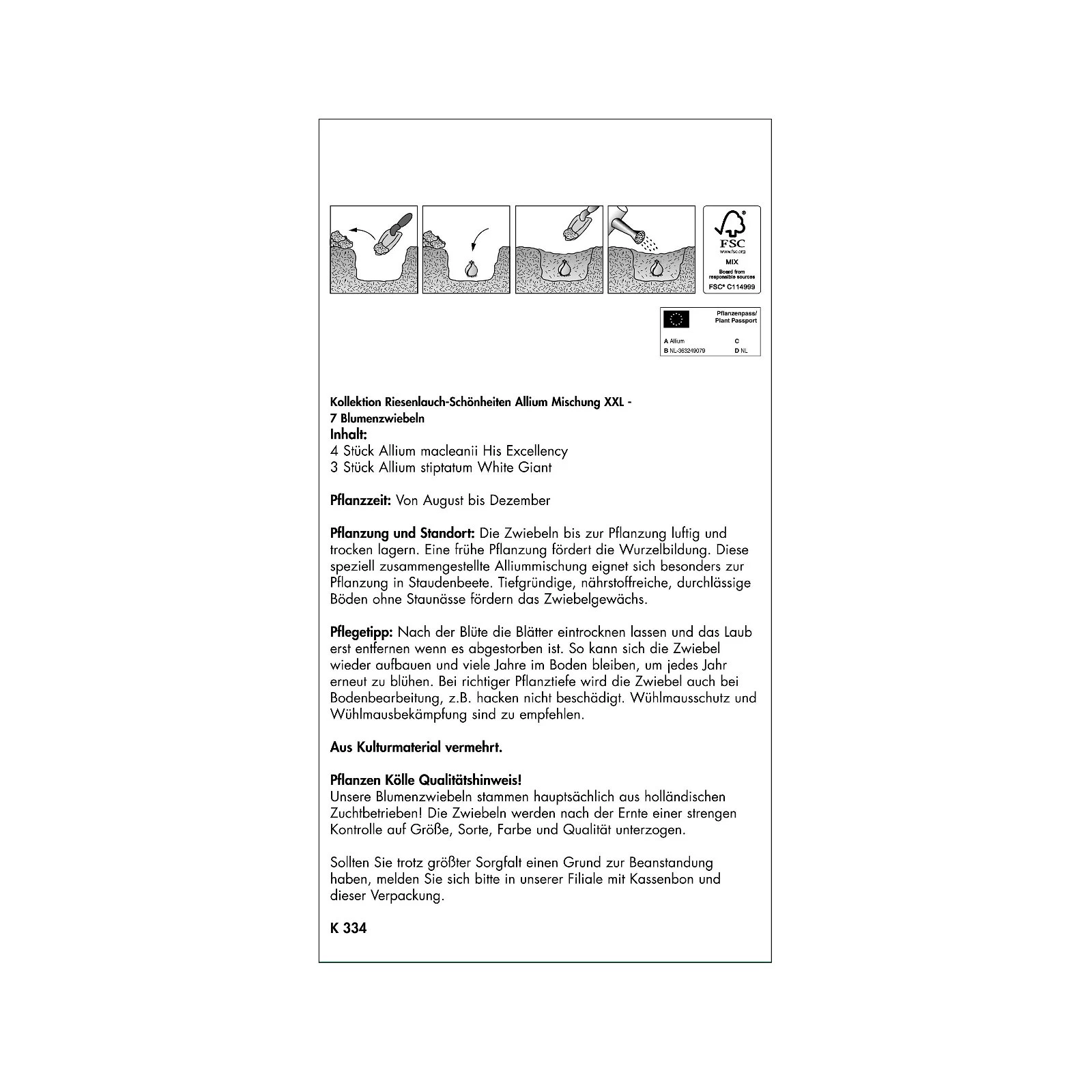 XXL Allium Mischung 'Riesenlauch Schönheiten', Weiß, Lila, 5 Blumenzwiebeln 4 XXL Allium Mischung 'Riesenlauch Schönheiten', Weiß, Lila, 5 Blumenzwiebeln – Bild 2