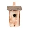Kölle Nistkasten Für Stare Aus Fichtenholz Mit Dachpappe -Fashion Garden Store 0910150169 Koelle Nistkasten fuer Stare Einflugloch 45mm 40000