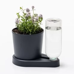 Kräuterheld, Anthrazit, PP/PET, 14 X 14 X 22 Cm -Fashion Garden Store 0930101631 Kraeuterheld anthrazit1 116321