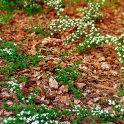 Stauden- & Rosenmulch, 2880l, 48 Sack à 60l -Fashion Garden Store 0960 rindenmulch 1 125175 1