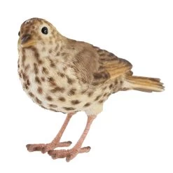 Eisen-Singdrossel, Ca. 17 X 6 X 11 Cm