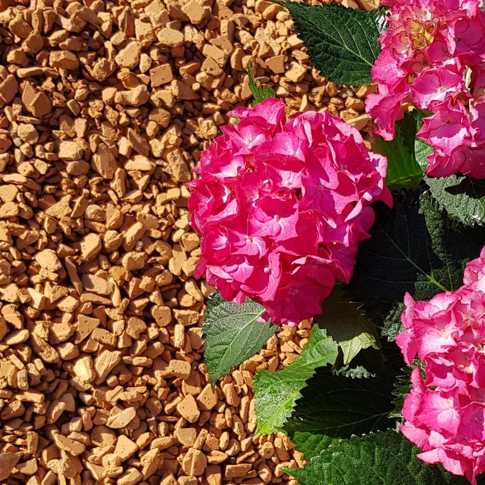 Ziegel-Granulat Granupur 4-20 Mm, 20 Liter 4 Ziegel-Granulat Granupur 4-20 Mm, 20 Liter – Bild 2