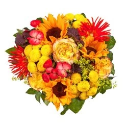 Blumenstrauß 'Sommerabend' Inkl. Gratis Grußkarte 9 Blumenstrauß 'Sommerabend' Inkl. Gratis Grußkarte -Fashion Garden Store 1110600041 Sommer Orange D33cm 2 6660