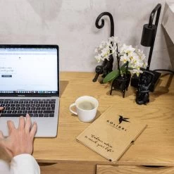 Geschenkset Orchidee & Sukkulente, Schwarz, Inkl. Übertöpfen Und Dekotablett -Fashion Garden Store 1530150104 Kolibri Set schwarz klein 1 116982