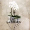 Geschenkset Orchidee & Sukkulente, Silber, Inkl. Übertöpfen Und Dekotablett -Fashion Garden Store 1530150106 Kolibri Set Kopf silber klein 2 116977