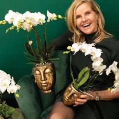 Geschenkset Orchidee & Sukkulente, Gold, Inkl. Übertöpfen Und Dekotablett -Fashion Garden Store 1530150107 Kolibri Set Kopf gold klein 2 116993