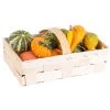 Kürbisse Im Spankorb, Verschiedene Sorten, 2 Körbe -Fashion Garden Store 1630100025 Kuerbisse im Spankorb NR versch Sorten 56805