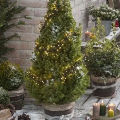 Kölle LED Lichterkette, Gruppenbeleuchtung Mit 288 Lichtern, Schwarz, 2,4 M, Warmweiß 9 Kölle LED Lichterkette, Gruppenbeleuchtung Mit 288 Lichtern, Schwarz, 2,4 M, Warmweiß -Fashion Garden Store 2040303593 3909 3911 4346 4347 4348 4350 4351 4351 4352 4354 4355 4356 4358 4359 LED Gruppenbeleuchtung warm 58204