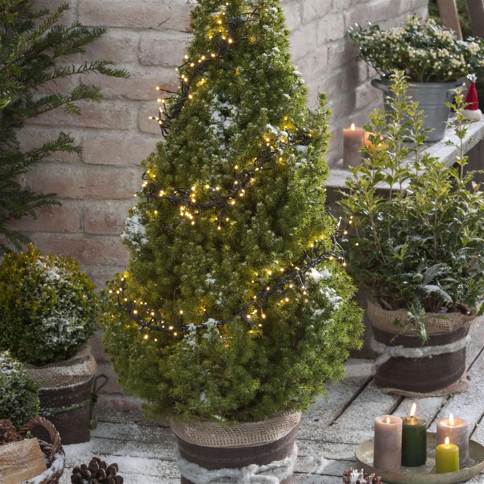 Kölle LED Lichterkette, Gruppenbeleuchtung Mit 288 Lichtern, Schwarz, 2,4 M, Warmweiß 5 Kölle LED Lichterkette, Gruppenbeleuchtung Mit 288 Lichtern, Schwarz, 2,4 M, Warmweiß – Bild 3