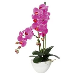 Kunstblume Orchidee Phalaenopsis In Weißer Keramikschale, Lila, Ca. 50 Cm