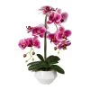 Orchidee Phalaenopsis, Künstlich, Fuchsia, Ca. 52 Cm, Keramiktopf 15 X 9,5 Cm -Fashion Garden Store 2220500208 Orchidee Phalaenopsis fuchsia 52cm weissen Keramiktopf 15x9 5cm 61746