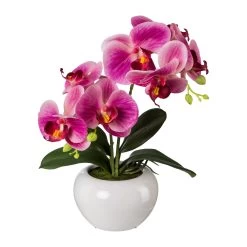 Kunstpflanze Phalaenopsis 'Real Touch', Fuchsia, Topf-Ø 11,5 Cm, Höhe Ca.35cm