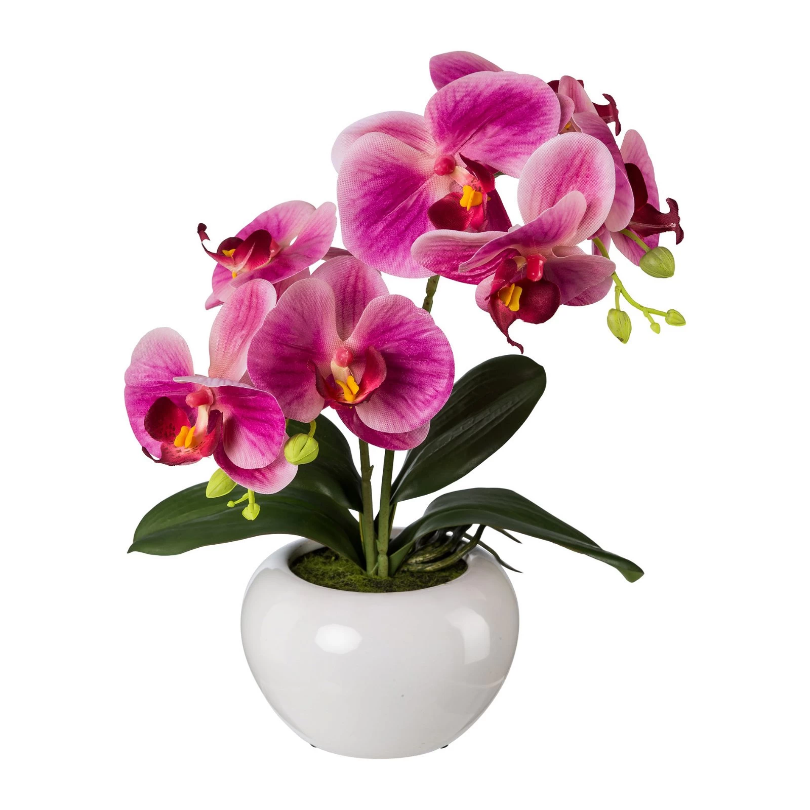 Kunstpflanze Phalaenopsis 'Real Touch', Fuchsia, Topf-Ø 11,5 Cm, Höhe Ca.35cm 3 Kunstpflanze Phalaenopsis 'Real Touch', Fuchsia, Topf-Ø 11,5 Cm, Höhe Ca.35cm