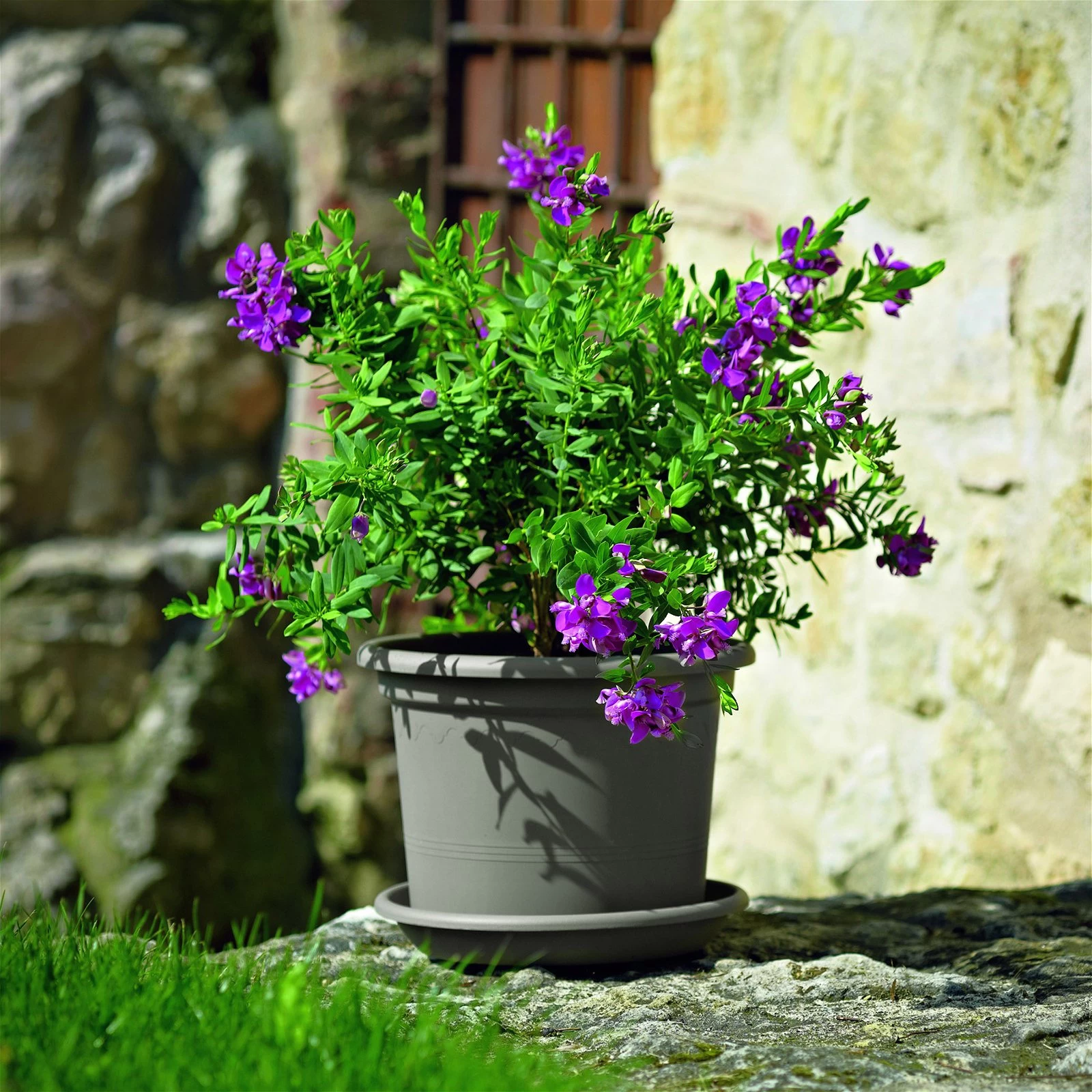 Euro 3 Plast Pflanzkübel Geo Taupe 3 Euro 3 Plast Pflanzkübel Geo Taupe