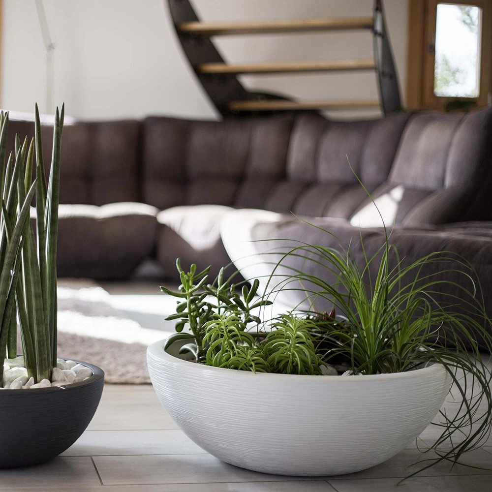 Pflanzschale Graphit Ella Anthrazit 5 Pflanzschale Graphit Ella Anthrazit – Bild 3