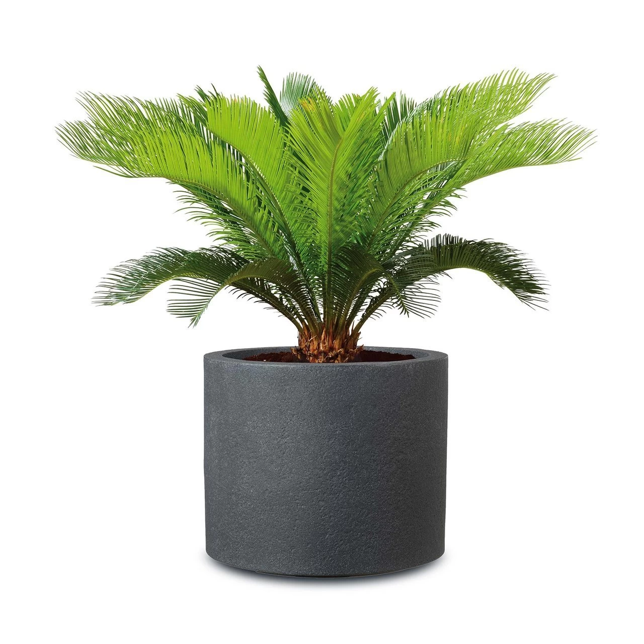 Pflanzgefäß 'Riva', Schwarz, Granit, Ø 29 X H 25 Cm 3 Pflanzgefäß 'Riva', Schwarz, Granit, Ø 29 X H 25 Cm