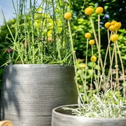 Pflanzgefäß 'Rowen', Silber, Ø 31 X H 55 Cm -Fashion Garden Store 3210801635 3210801636 3210801637 3210801638 Pflanzgefaess Rowen silber 12 115029