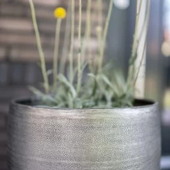 Pflanzgefäß 'Rowen', Silber, Ø 31 X H 55 Cm -Fashion Garden Store 3210801635 3210801636 3210801637 3210801638 Pflanzgefaess Rowen silber 7 115026