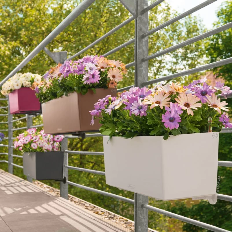 LECHUZA Balconera Color All-in-One-Set, Schiefergrau, 50 X 19 X 19 Cm 5 LECHUZA Balconera Color All-in-One-Set, Schiefergrau, 50 X 19 X 19 Cm – Bild 3