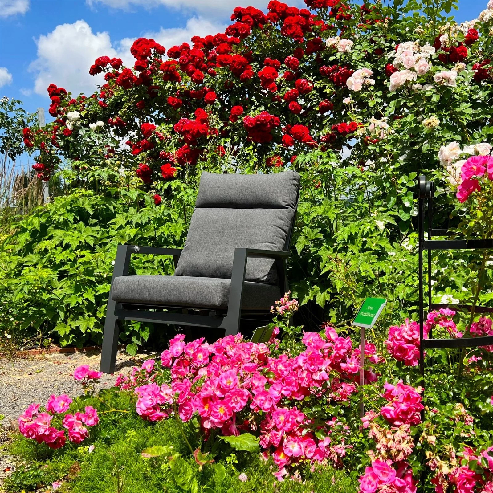 Kölle Sessel 'Australien', Alu, Polyester, Rücken Verstellbar 11 Kölle Sessel 'Australien', Alu, Polyester, Rücken Verstellbar – Bild 9