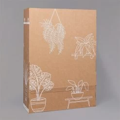 Rose, Rosa, Mit Topf Dallas Weiß, Topf-Ø 13 Cm, 3er-Set 13 Rose, Rosa, Mit Topf Dallas Weiß, Topf-Ø 13 Cm, 3er-Set -Fashion Garden Store B2 02 Karton Sets mit Keramik 1 126161 3