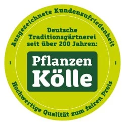Kölle LED Regen 180 Lichter, Silberdraht, Warmweiß 13 Kölle LED Regen 180 Lichter, Silberdraht, Warmweiß -Fashion Garden Store qualitaetssiegel pflanzen koelle 3000x3000 70847 660